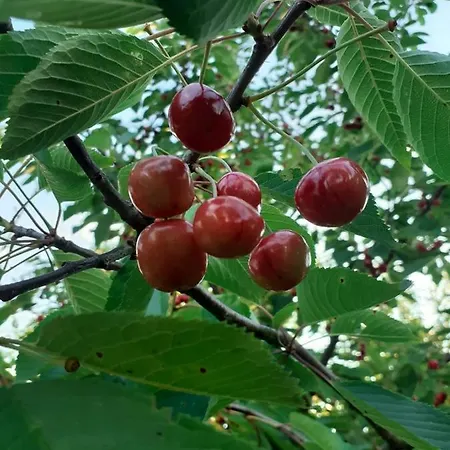 Sleeping Σπίτι διακοπών